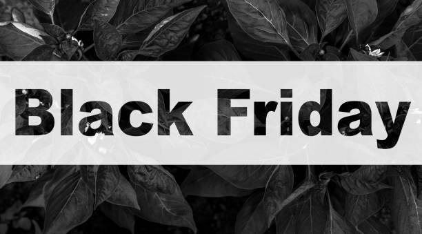 black friday apple watch series 4